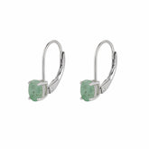 King Of Gemstone Earrings S925 Sterling Silver CVD Diamond Earrings Mother's Day Jewelry Gift